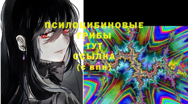 МДМА Абаза